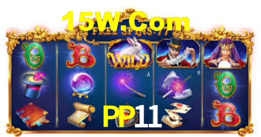 PP11 Login