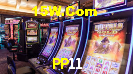 PP11,PP11 App
