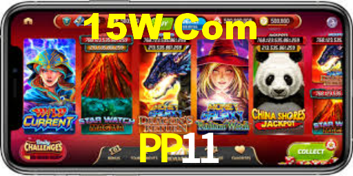 PP11 App