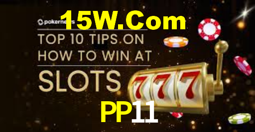 PP11 Login